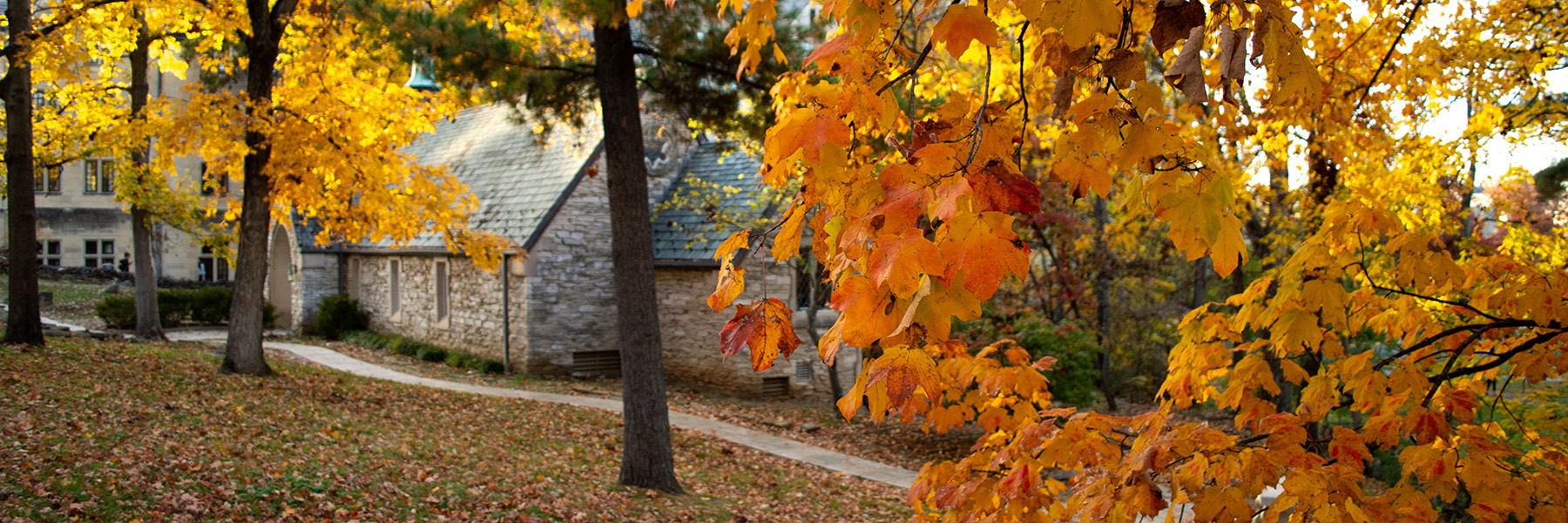Indiana University campus in the fall.